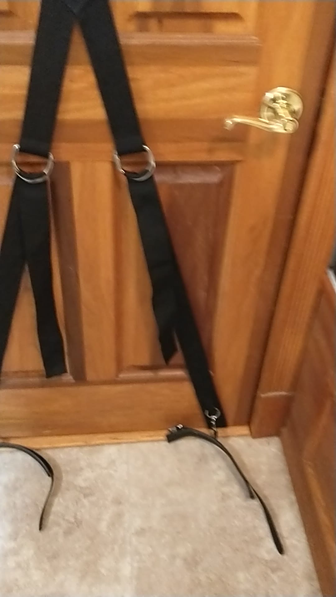 DOMINIX Deluxe Over the Door Cross Restraints. Slide 2